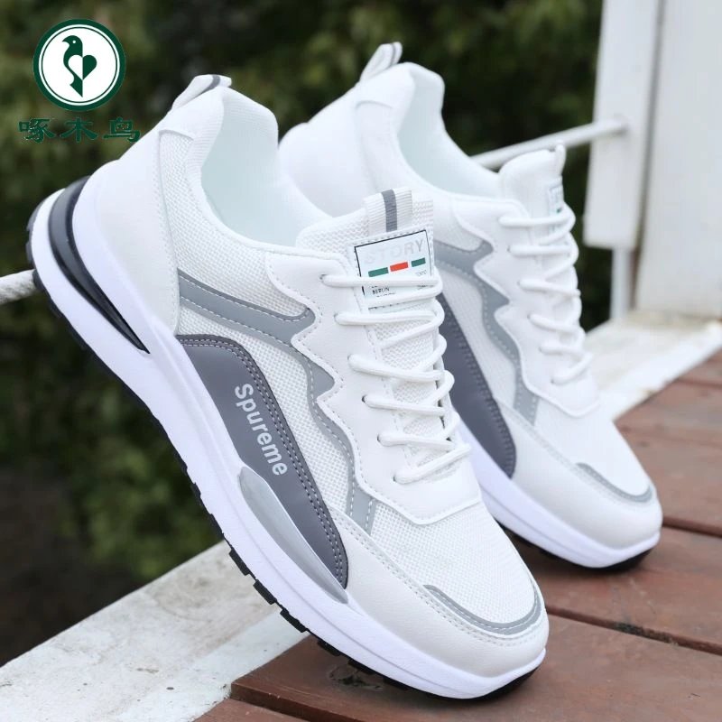 【正品】啄木鸟夏季透气男鞋2024新款男款网面运动休闲跑步学生小白