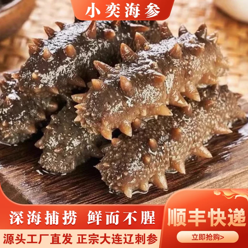 【蒸食工艺】Q弹口感大连辽刺参即食海参11-12头