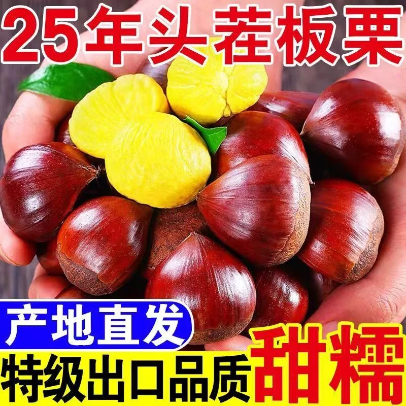 【买三斤送二斤】高山老树新鲜板栗现摘现发粉糯香甜好剥皮1