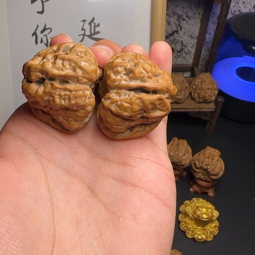 蛤蟆头42✖️44红皮头货