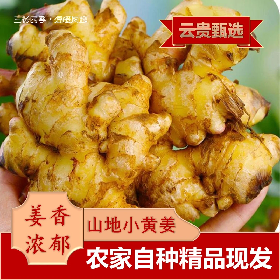 《春天的味道》农家特产代收山货老品种小黄姜