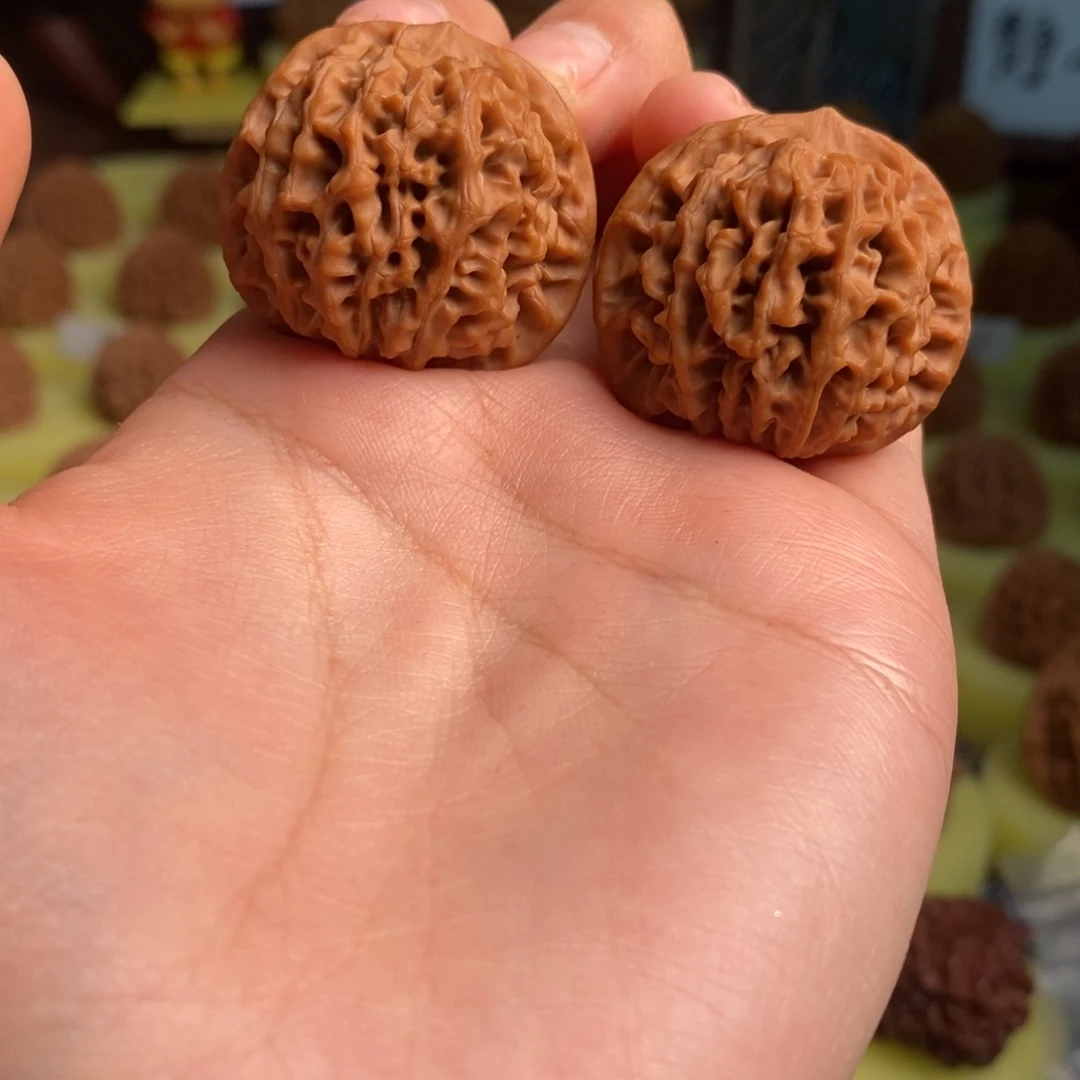 豆***龙核桃秦岭闷尖狮子头33