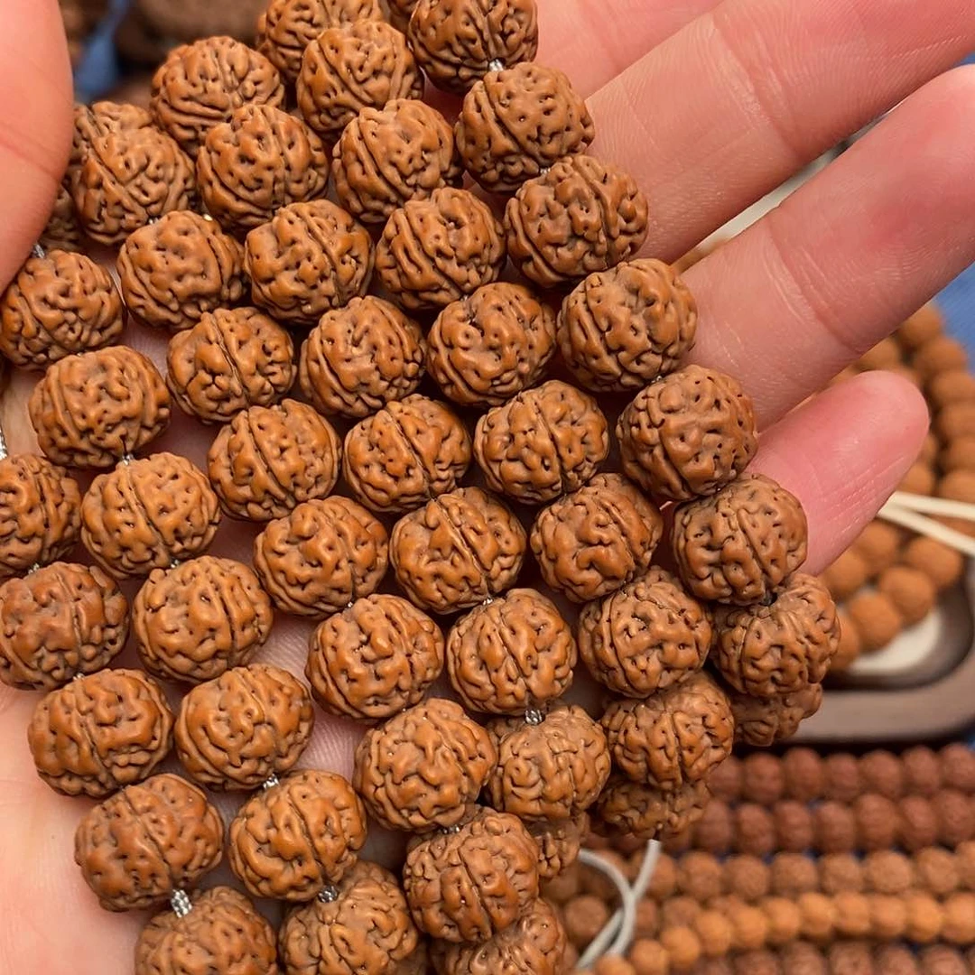 手串金刚菩提七*哥纯血
