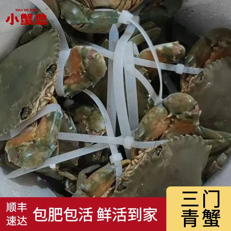 三门青蟹蝤蠓3-4两/只鲜活水产海鲜公母随机吃贝壳类