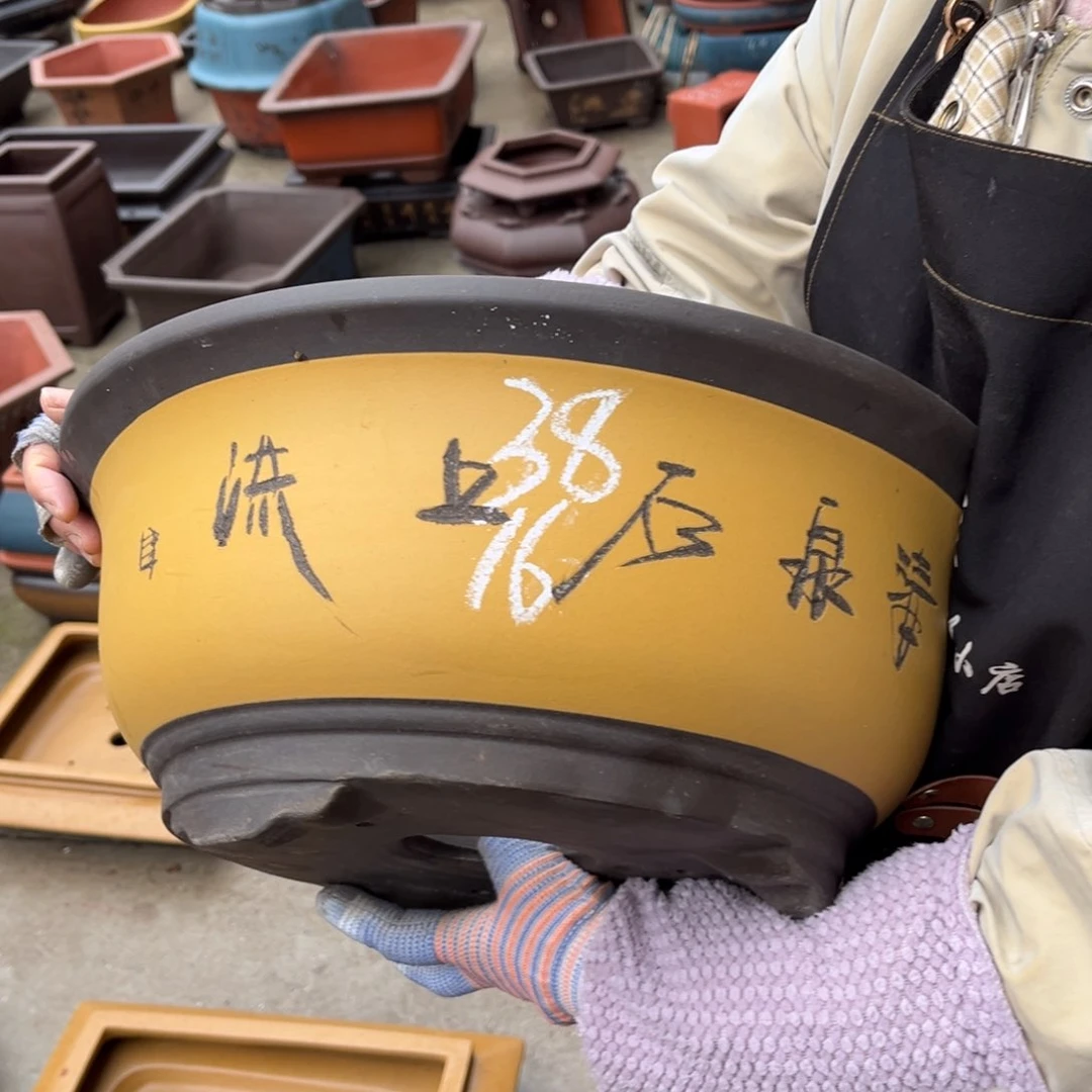 紫砂花盆盆景艺术