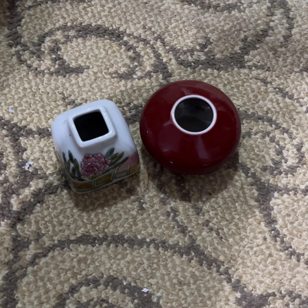 杯两个水鱼一起的