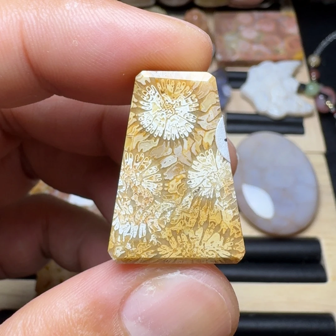 未镶嵌纯天然色有机玉石保真色硅化玉