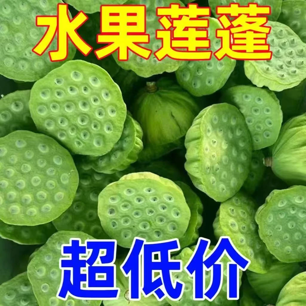 水果莲蓬新鲜当季莲子应季生吃嫩莲蓬孕妇小孩子水果特级绿色即食