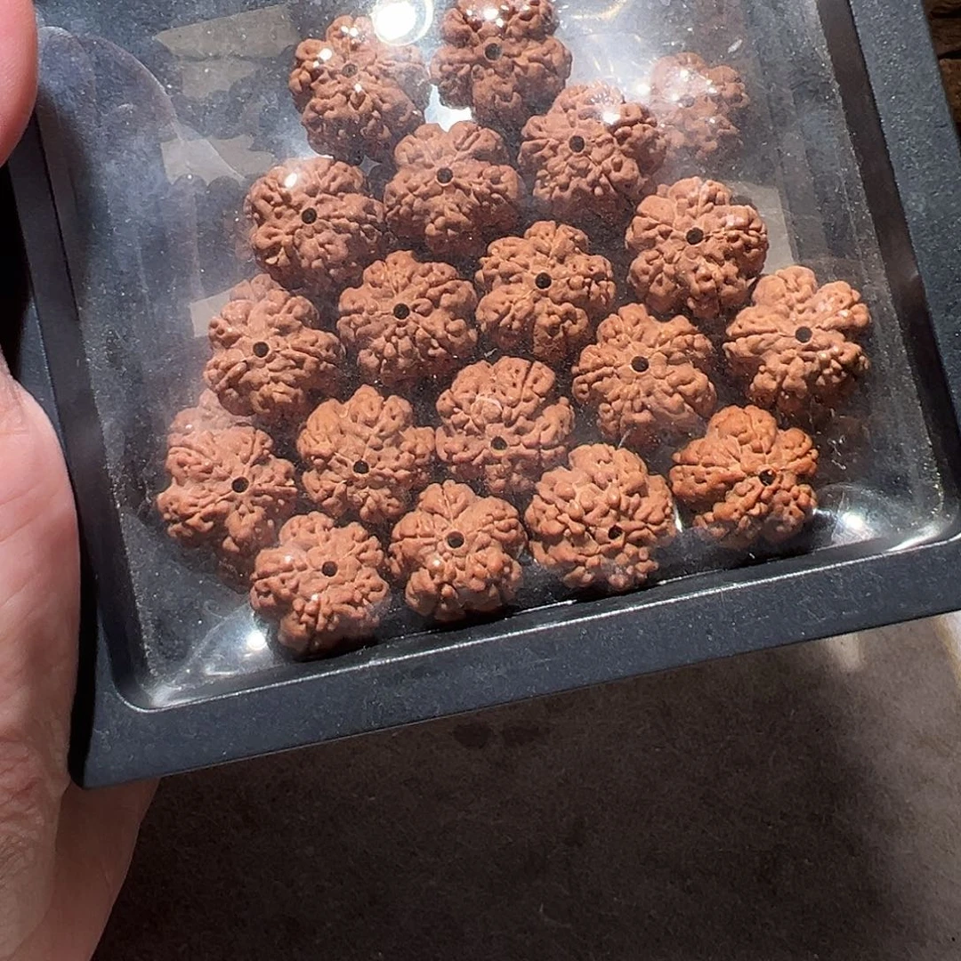 金刚菩提手串小花王16尺寸福利