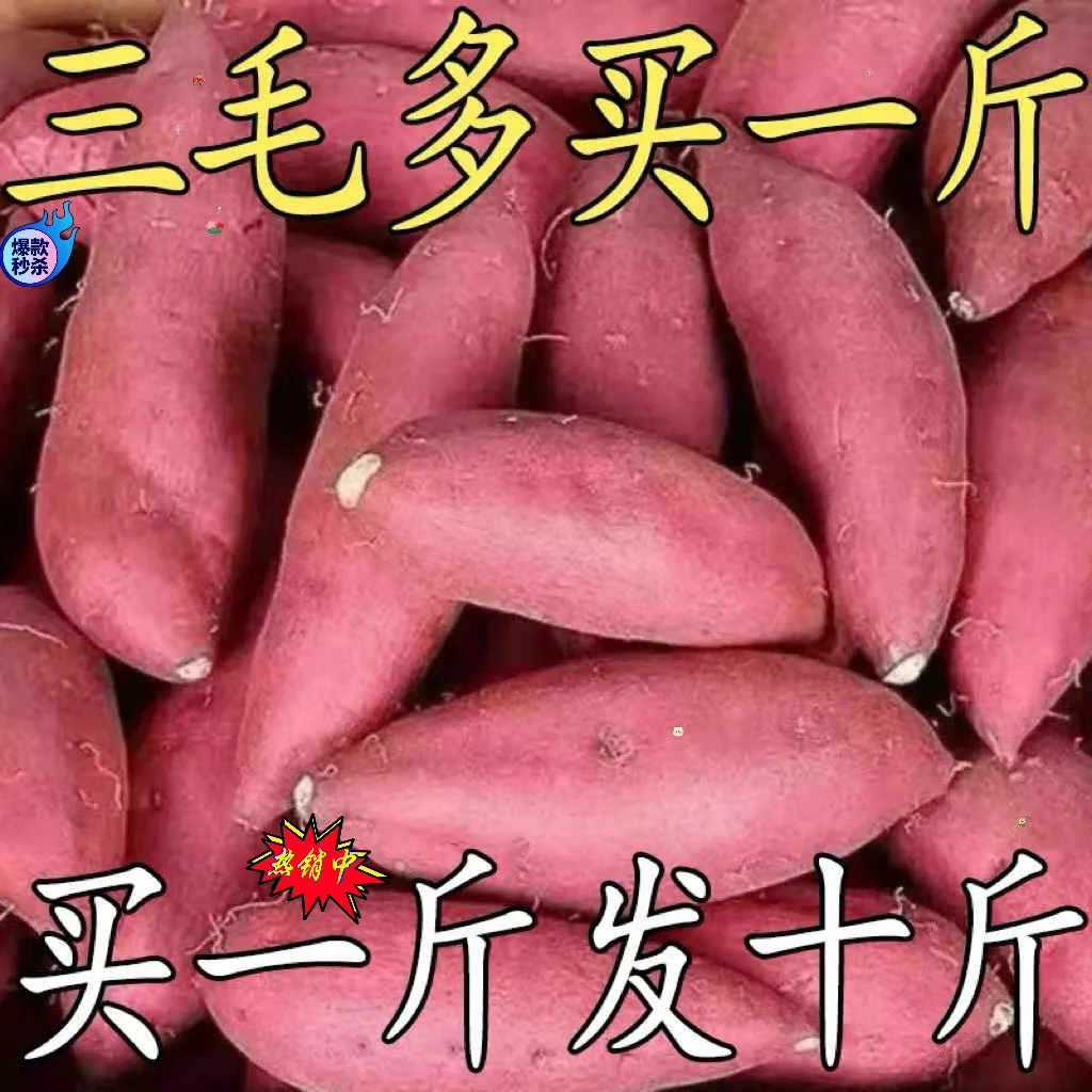 【产地现发】沙地蜜薯1/5斤香甜软糯红薯地瓜红苕板栗番薯蔬菜水果