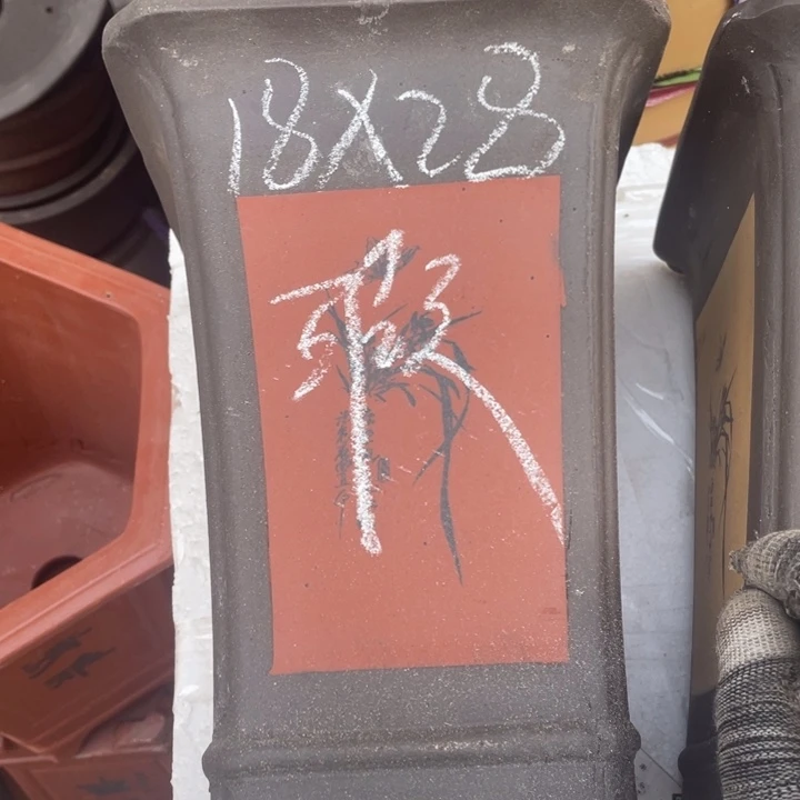 这是早早早早早早