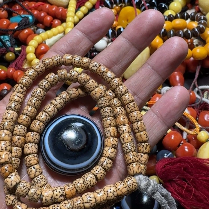 白玉菩提吊坠回**生菩提树等树木的生长发育过程