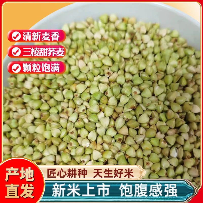 荞麦米五斤装荞麦粥 荞麦豆浆原料 干净无杂颗粒饱满 五谷杂粮荞麦米荞