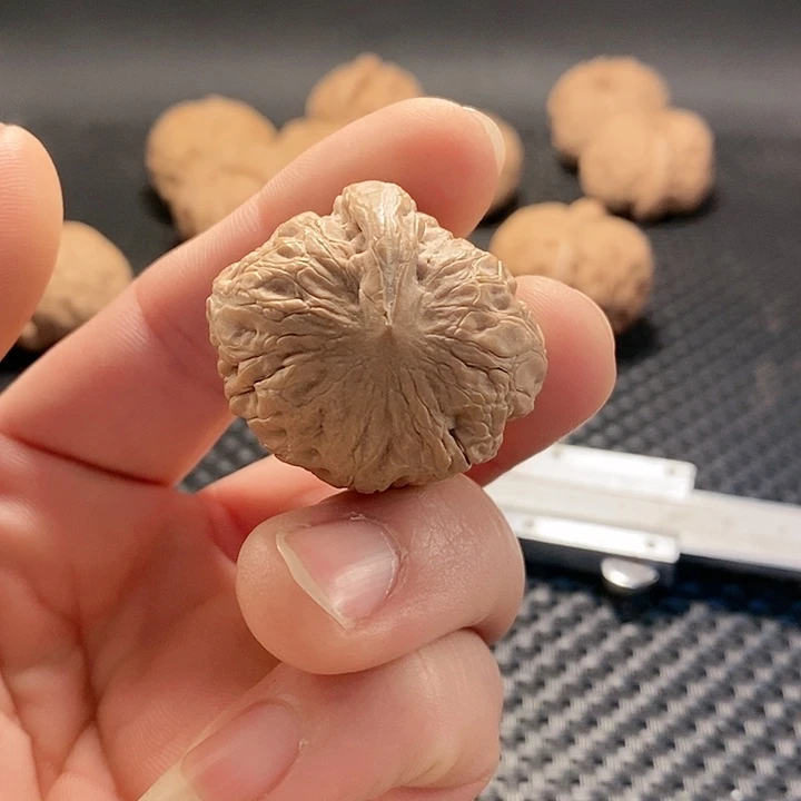 把件文玩核桃平谷元宝一帆风顺