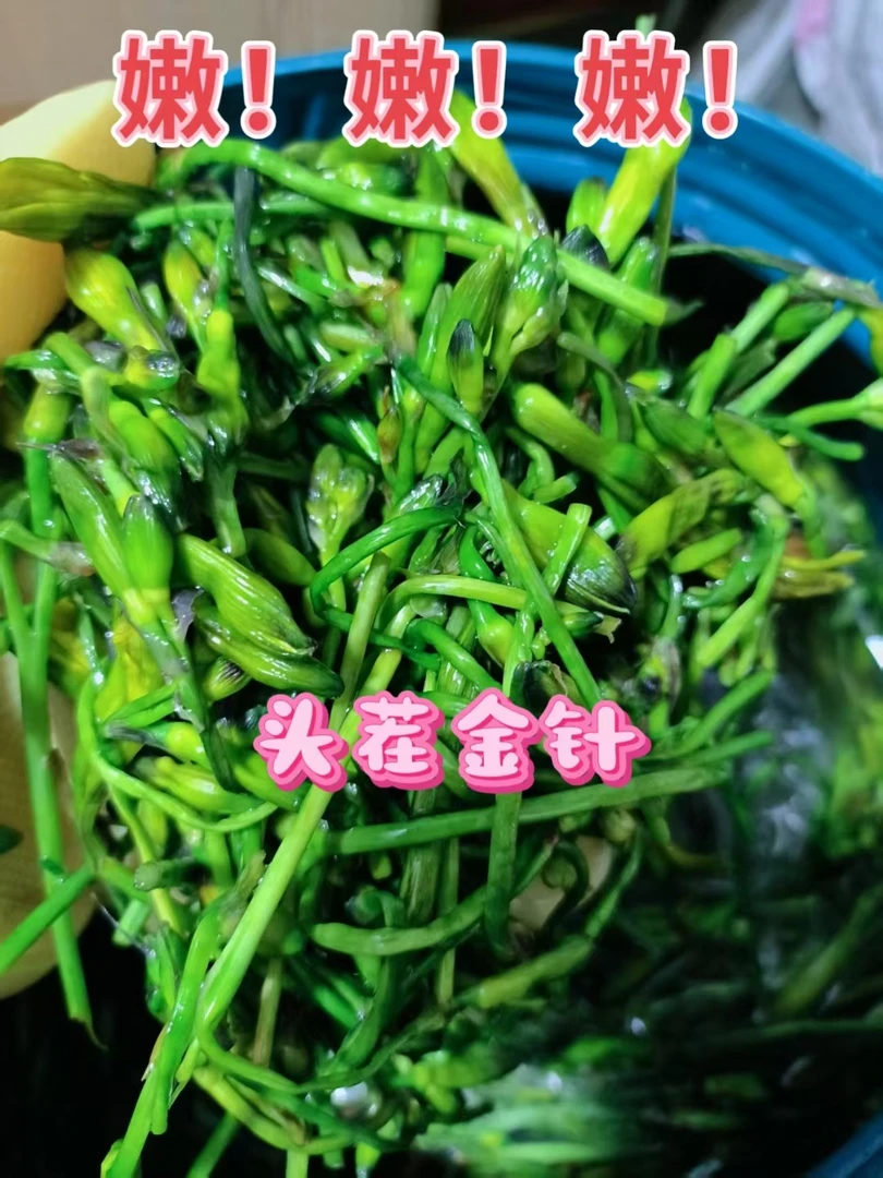 内蒙古桦木沟头茬咸金针黄花菜高原野生山野菜（包邮）