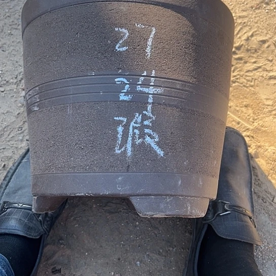 紫砂工艺厂……紫砂工艺厂……