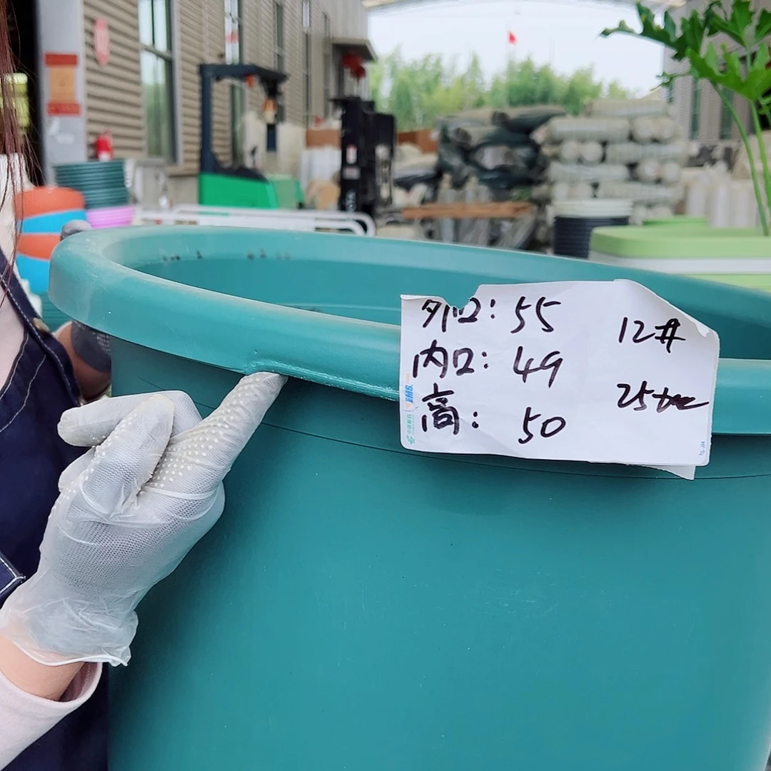 瑕疵四季盆12#墨绿2个无托