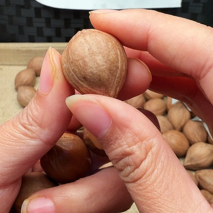 梁***子手串/手链橄榄核橄榄