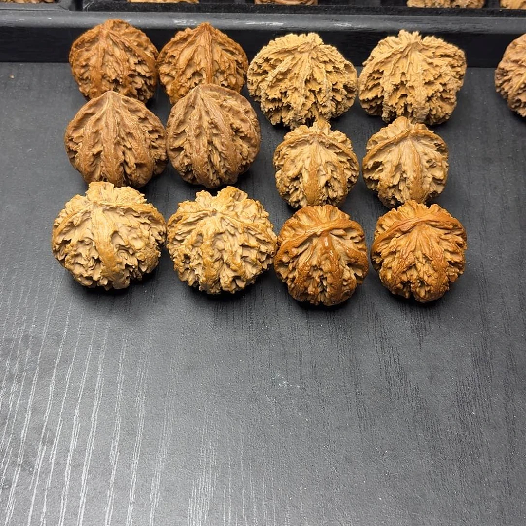 桃木突突突突突突突