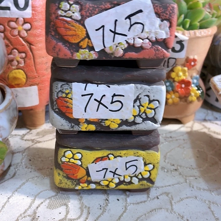 多肉花盆满15包邮
