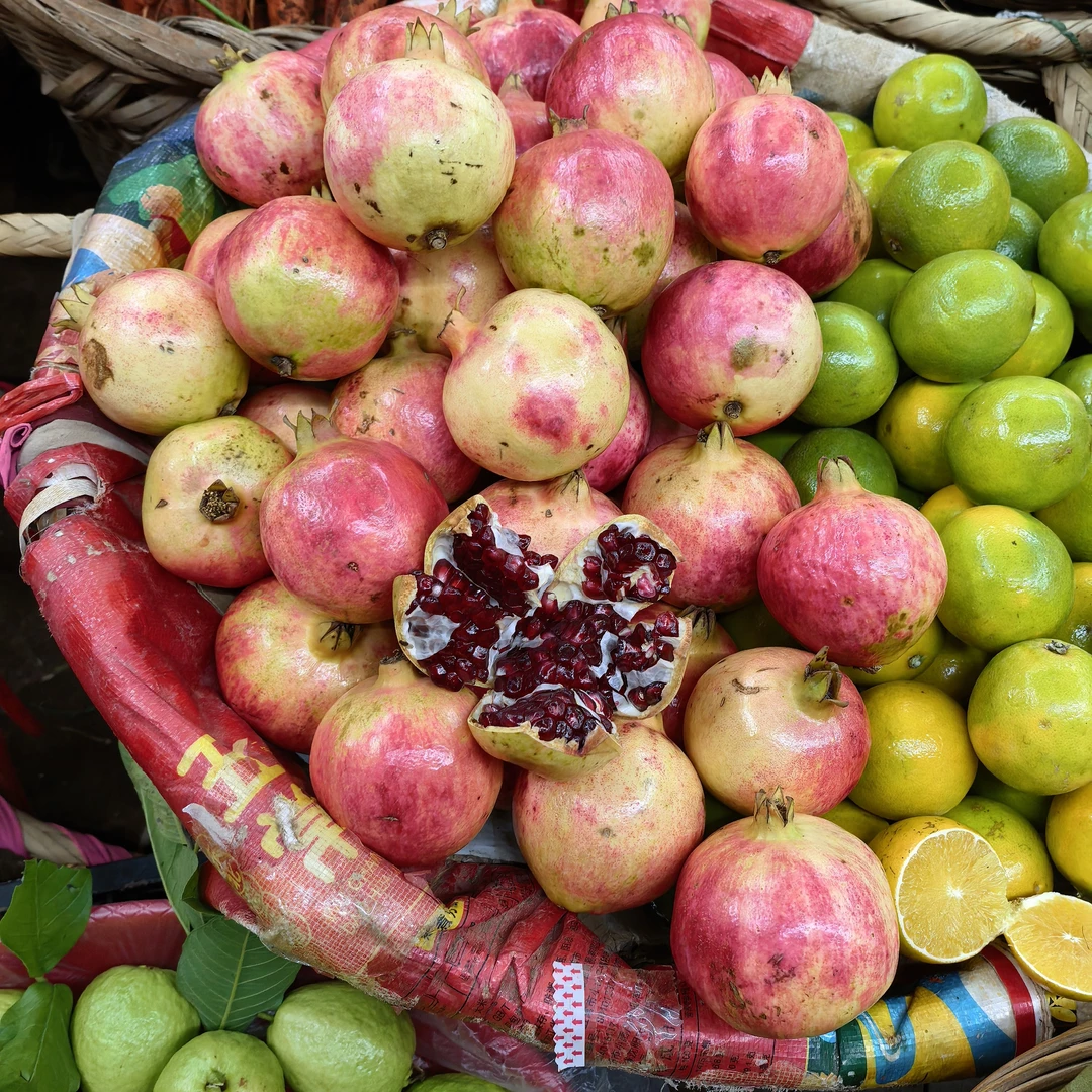 云南农户种植软籽甜石榴