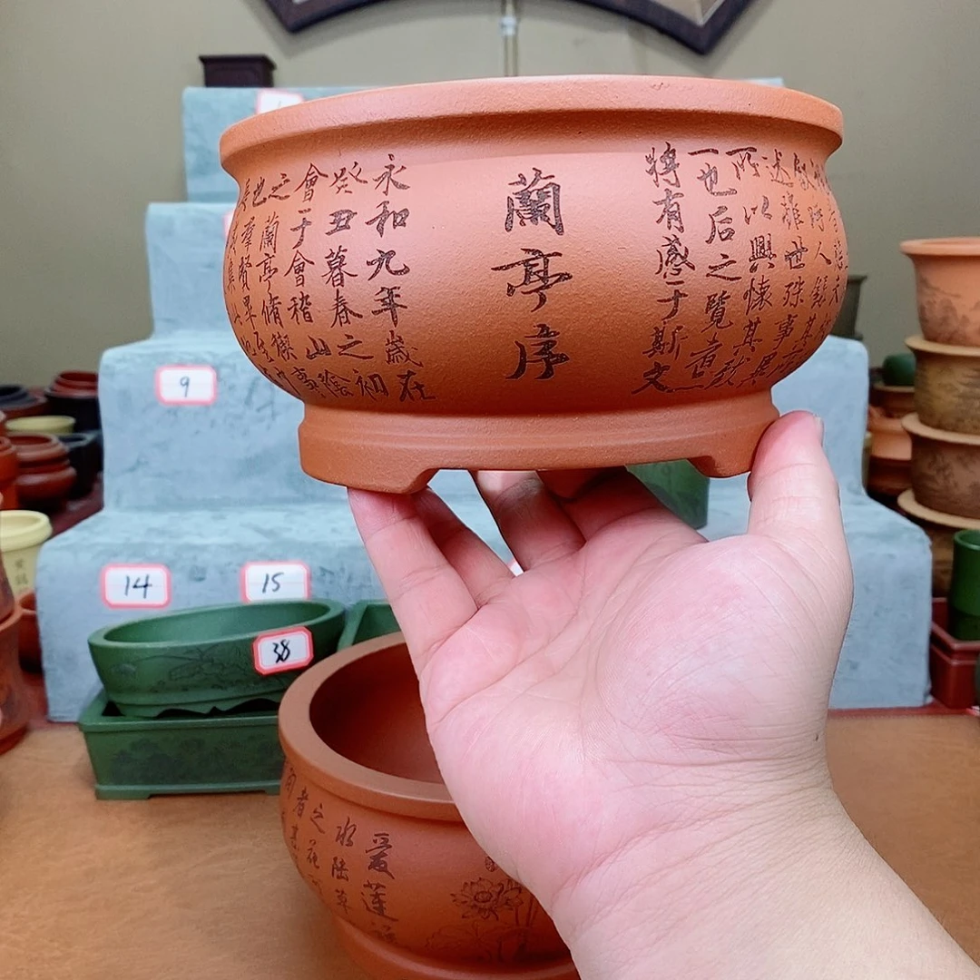 紫砂花盆我在看书