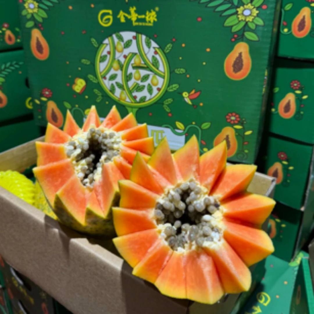 海南 树上熟木瓜 2颗 4.7斤