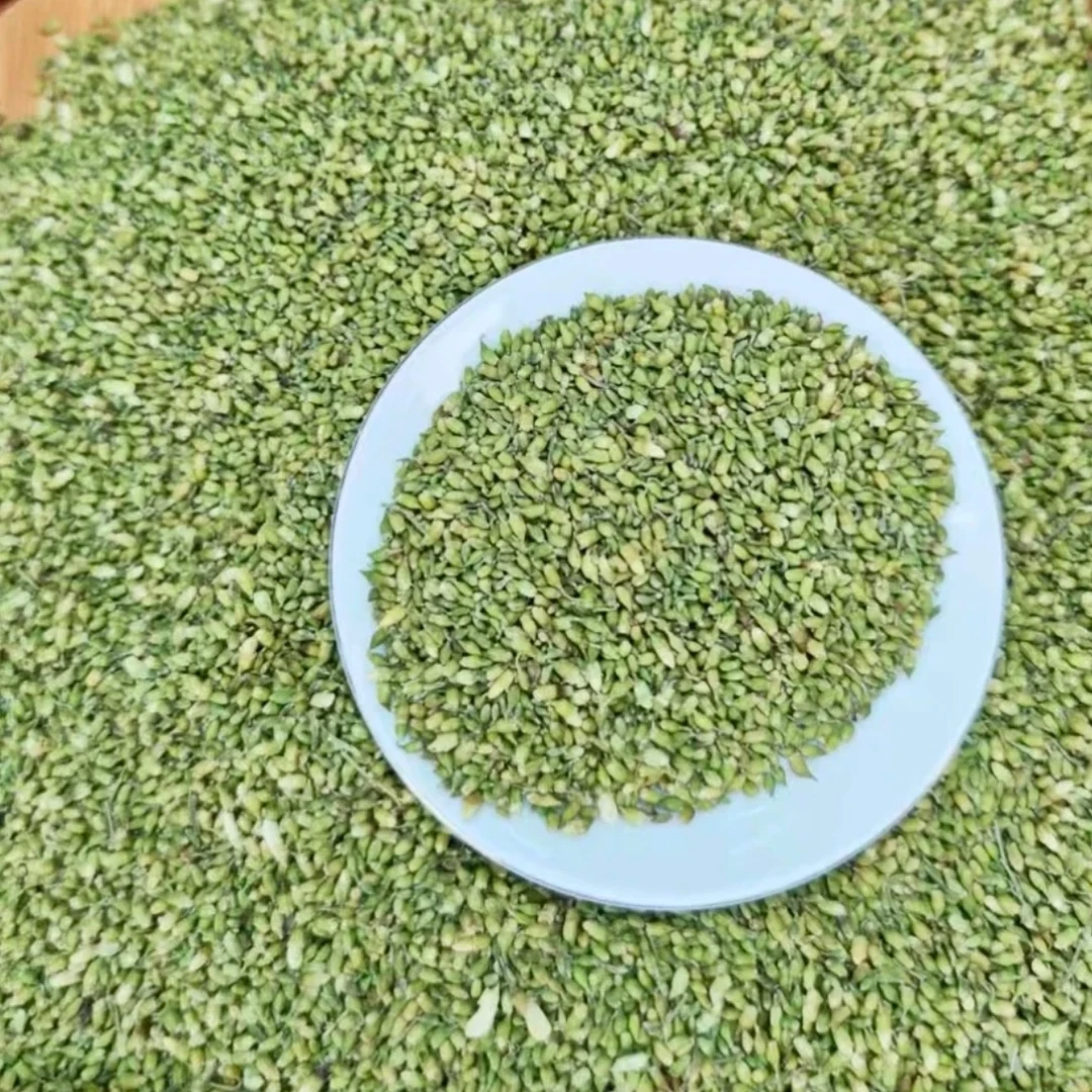 珠子参蕊 益身百搭茶 云南核心产区-