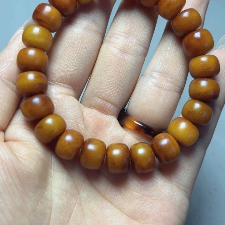 大果紫檀（缅甸花梨）