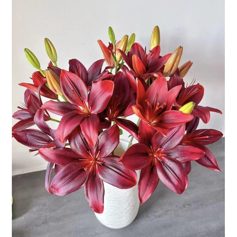 黑色魅力12-15朵百合