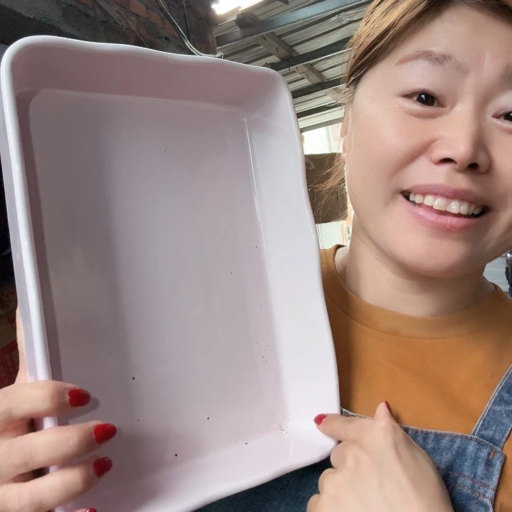 粉色没有把手的烤盘微瑕