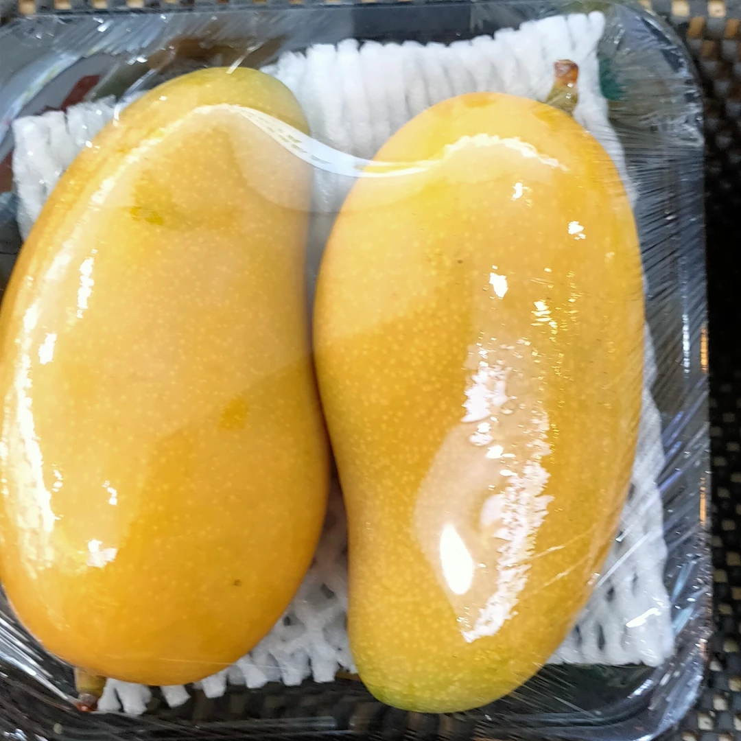 海南公主水仙芒一盒两支g