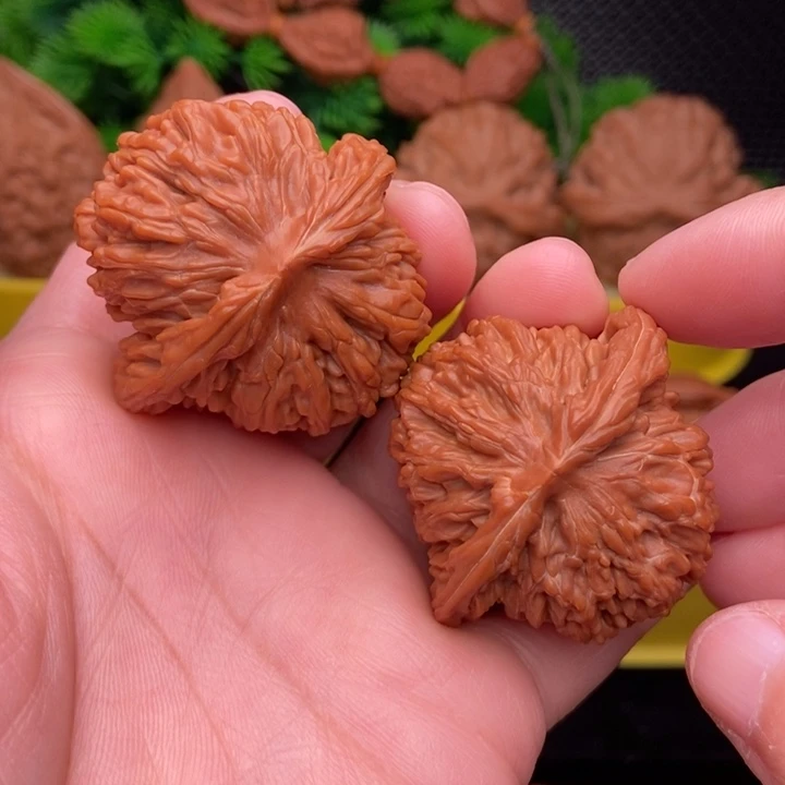 山地楼42全品11111