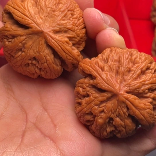 文玩核桃把件秦岭山脉核桃