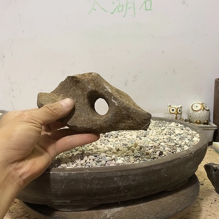 天然太湖石直播一物一拍