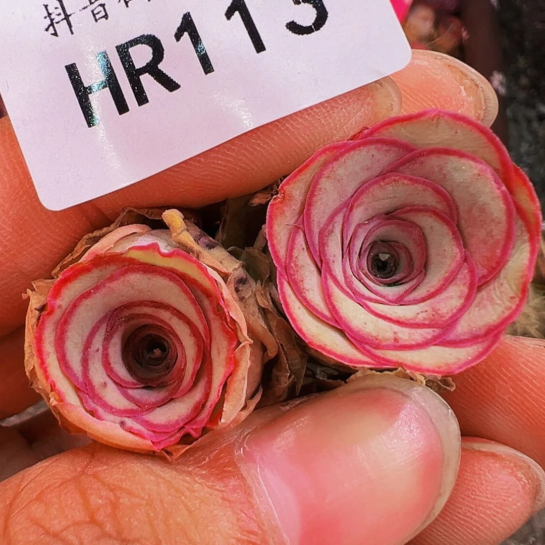 无花朵HR113福利捡漏好东西两个下播打包