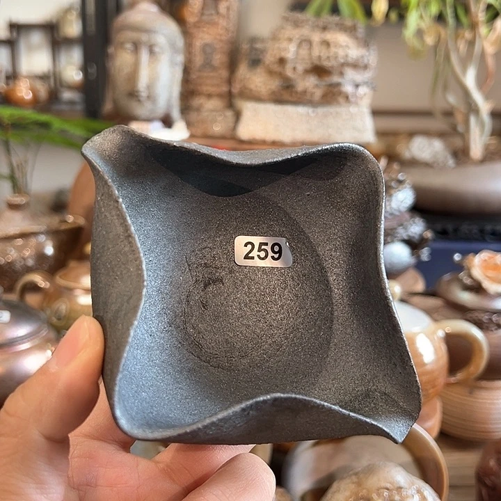 Aaaaaaaaaass259