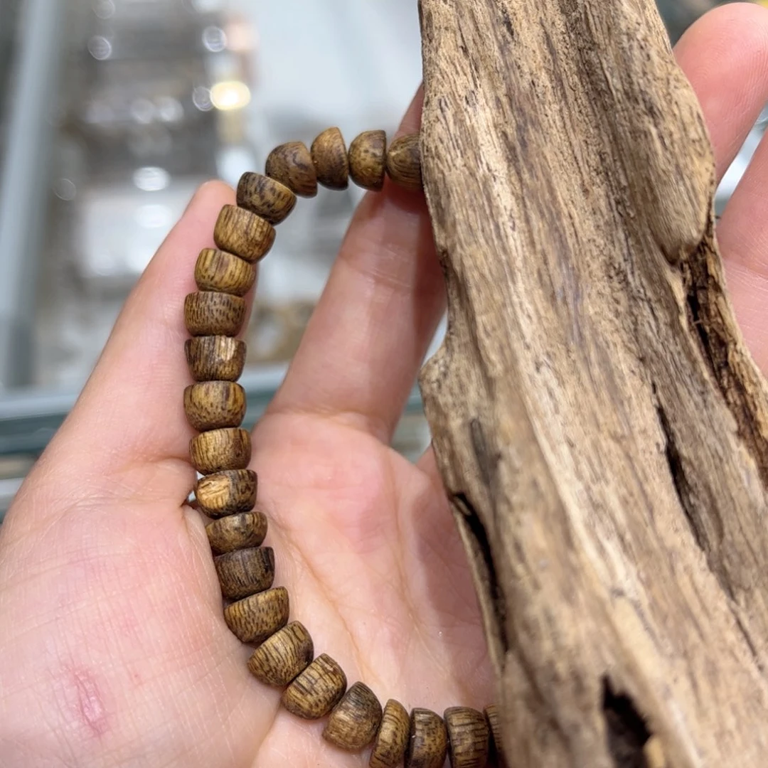 香榧木海南木料种植绿棋舍利珠多样性发一