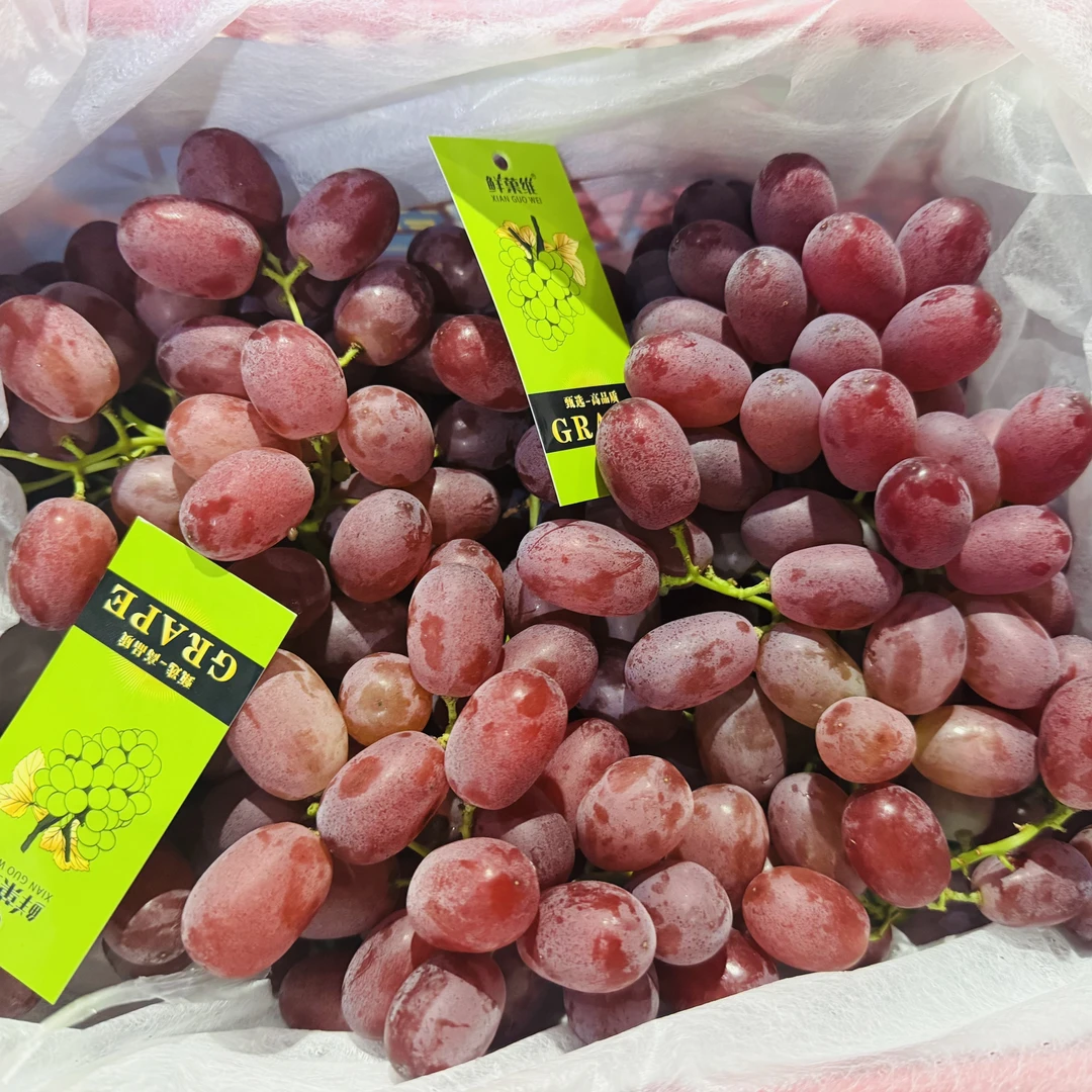 （六妈推荐）当季新鲜赤焰红提无籽脆甜多汁一件2.8斤起沈阳发货