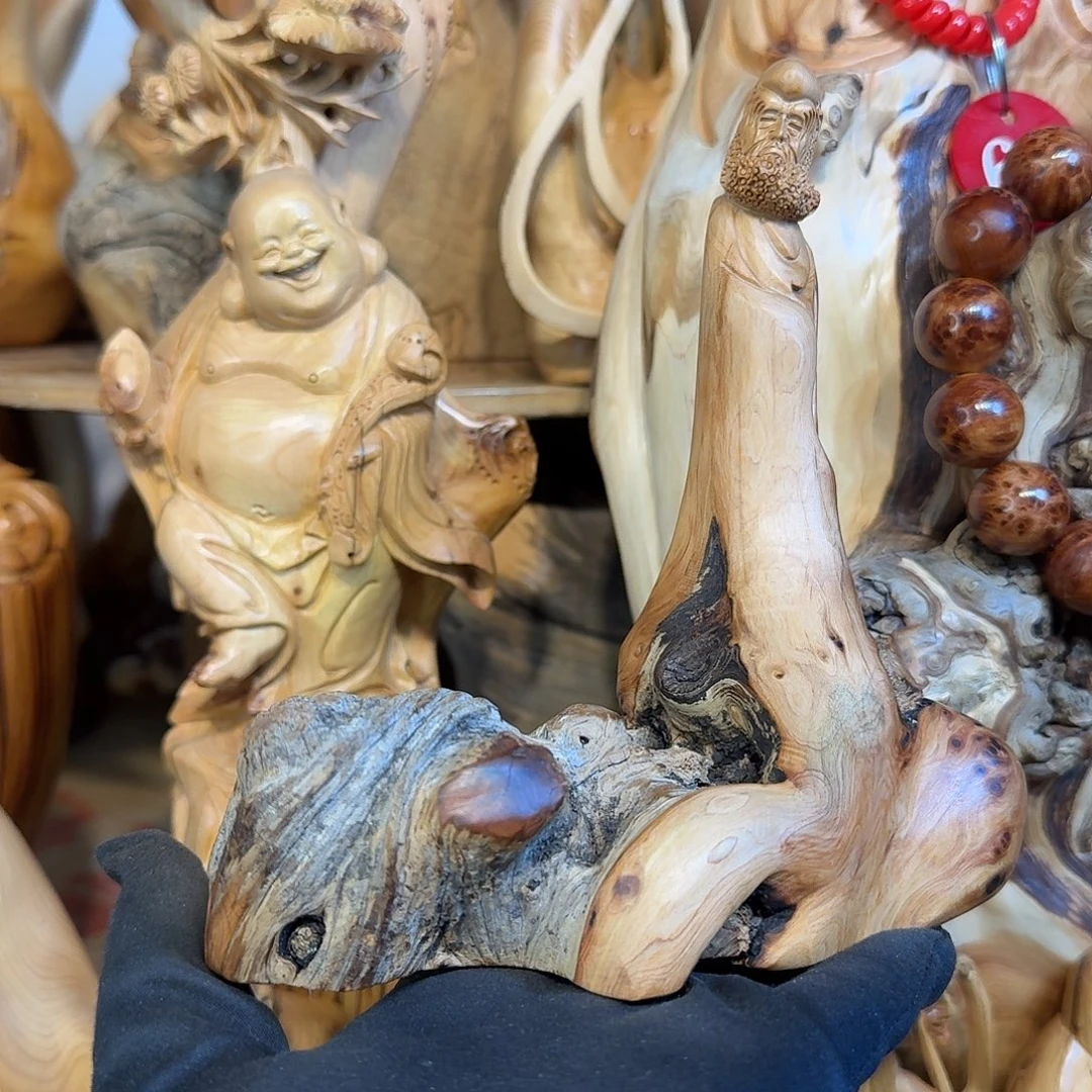 柏木（崖柏）666666666