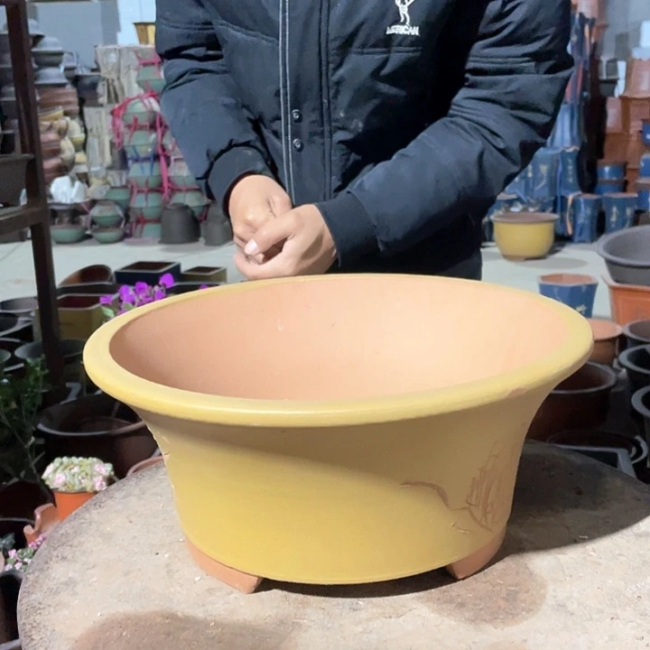 紫砂33黄票口花盆