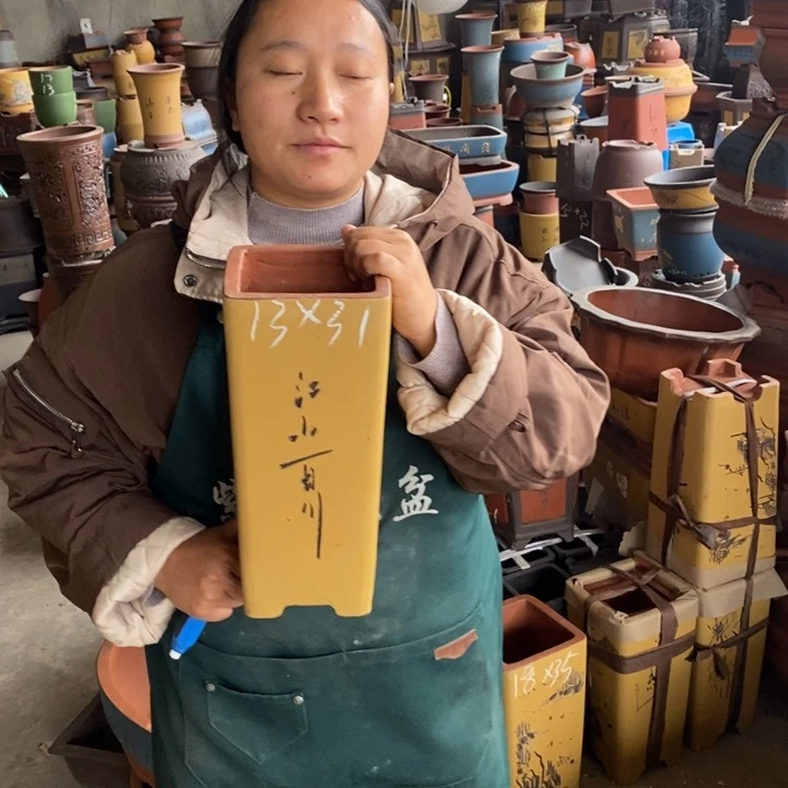 紫砂花盆盆栽花卉苗木种植