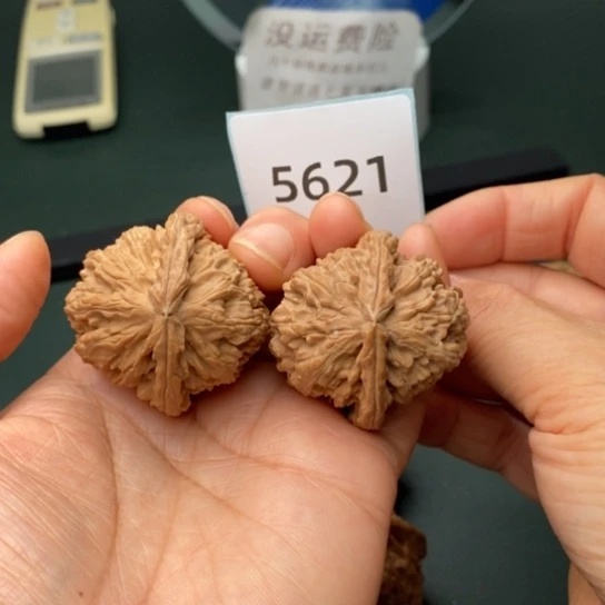 把件文玩核桃?****y39白狮子5621