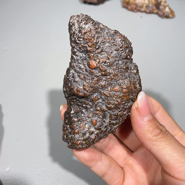 玛瑙/玉髓车挂合金阳**岸492