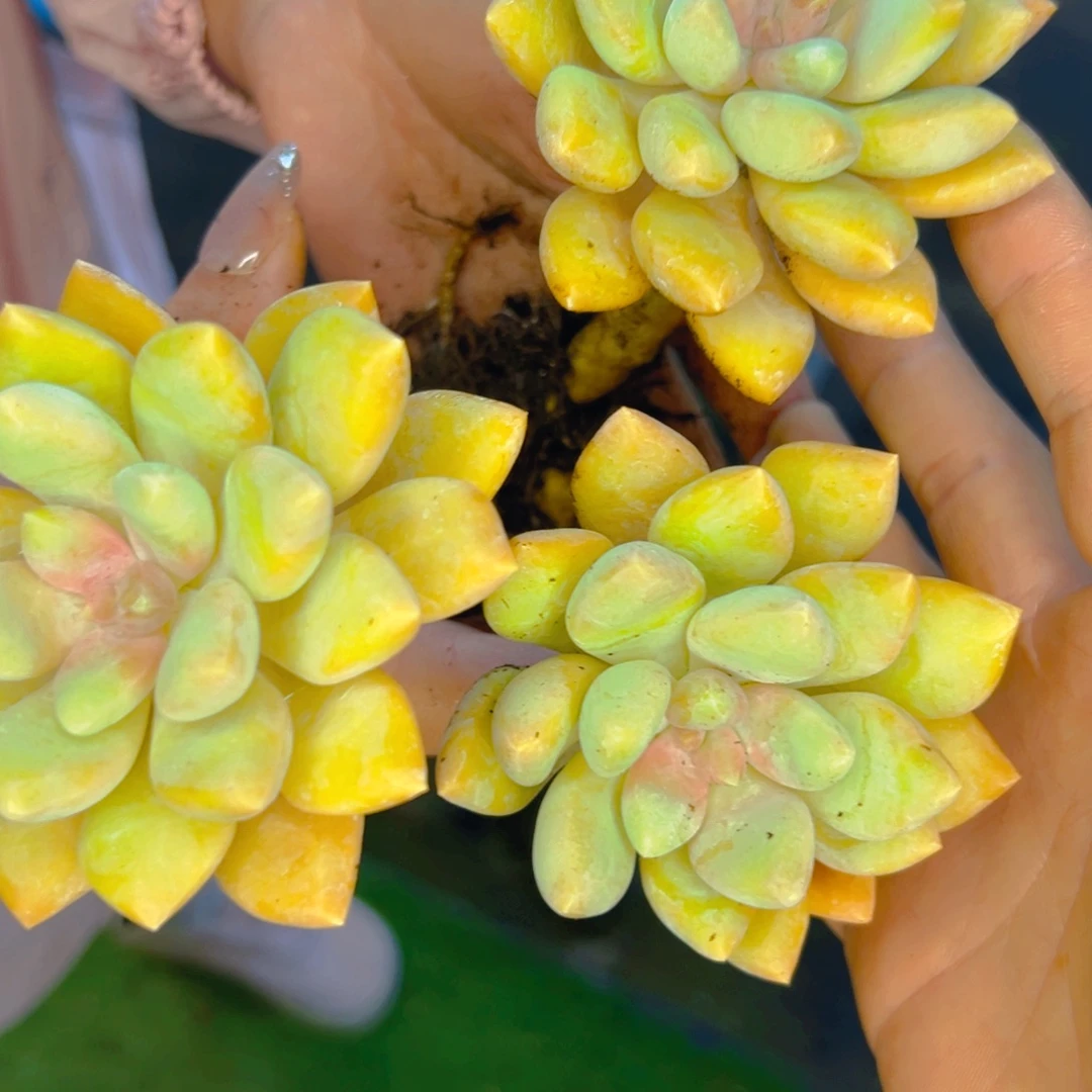 b***R1111111111111111111