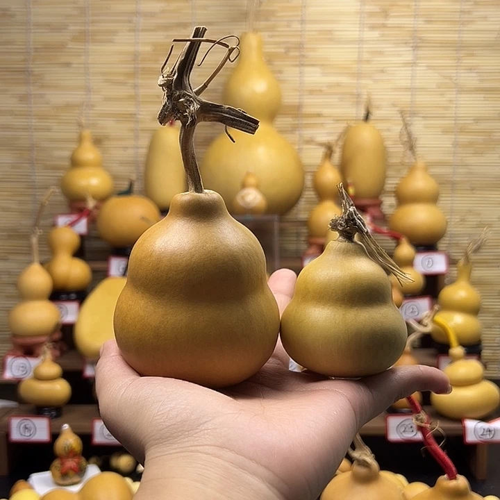 三爷专属敦敦1111
