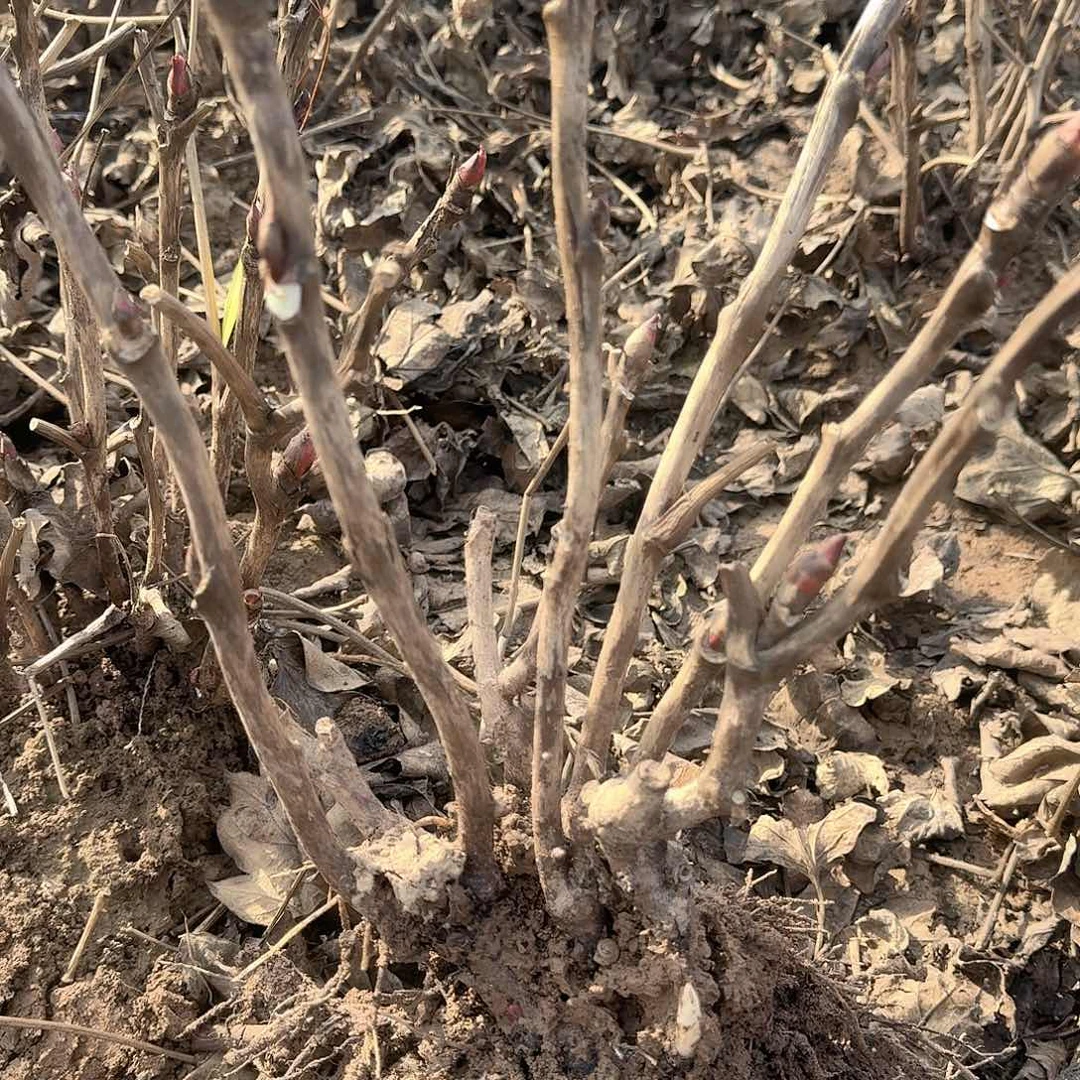 完全开放1111111111