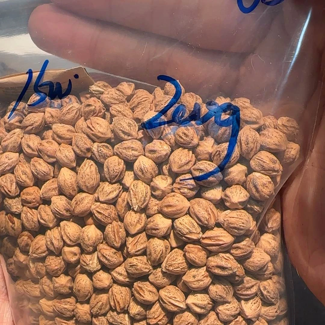 柏香籽/百香籽吊坠6.5 200g