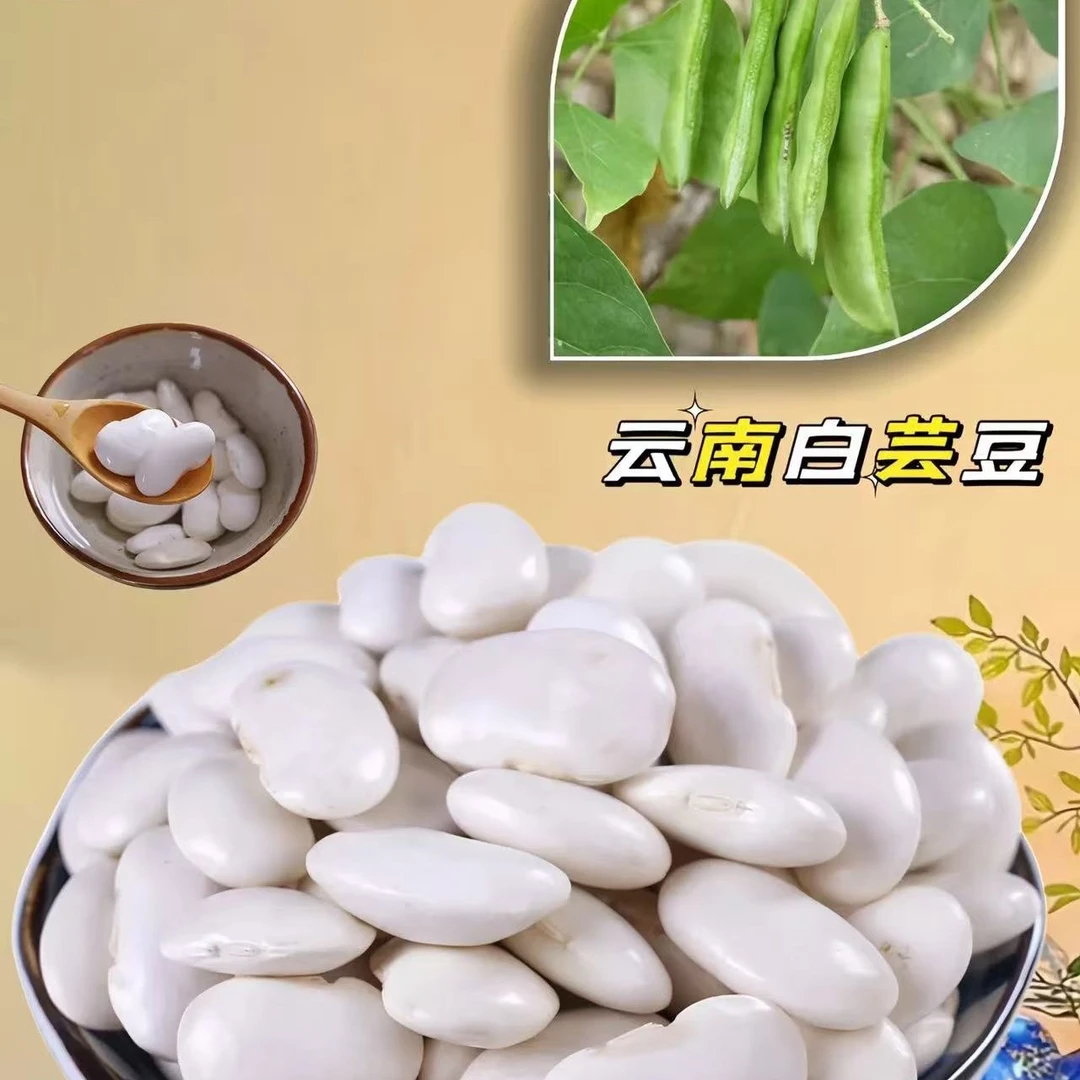 农家大白芸豆干货云南新货白扁豆杂粮粗粮云豆五谷营养丰富