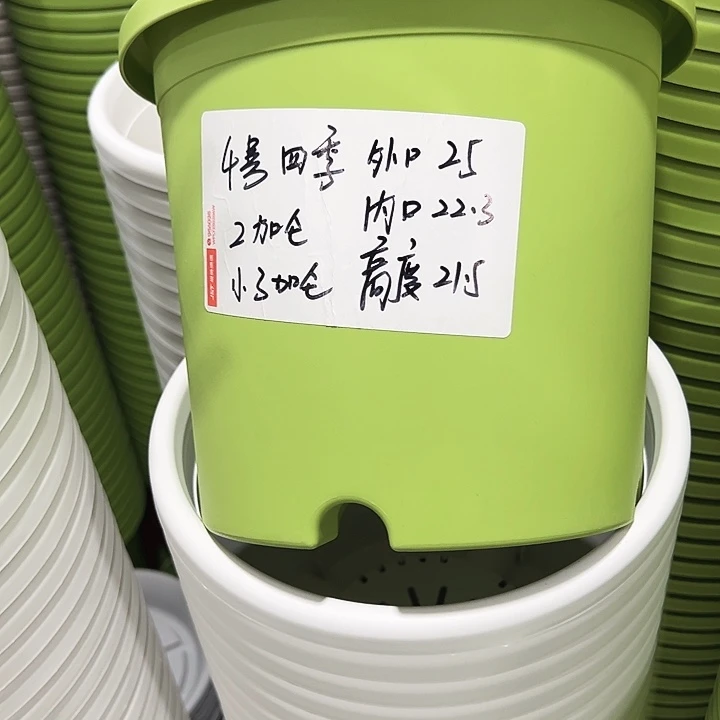 特价4号口25高21.5果绿8只带托